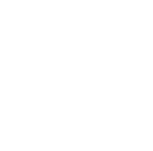 Festival Virtuosi